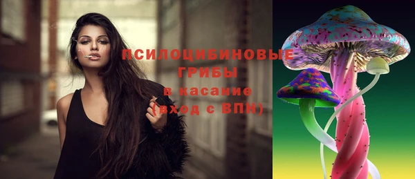 ПСИЛОЦИБИНОВЫЕ ГРИБЫ Няндома