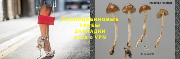 винт Нягань