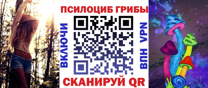 Галлюциногенные грибы Psilocybine cubensis  Людиново 